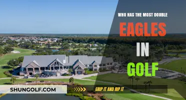 Golf's Double Eagle Leaders: Who Tops the Historic Albatross List?
