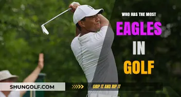 Golf's Eagle Leaders: Who Tops the List in History?