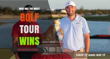 Golf's Greatest Champions: Who Tops the Tour Wins Leaderboard?