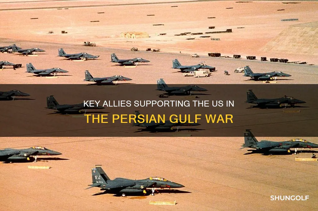 who helped the us in persian golf war
