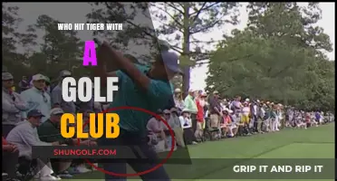 Shocking Incident: Who Hit Tiger Woods with a Golf Club?
