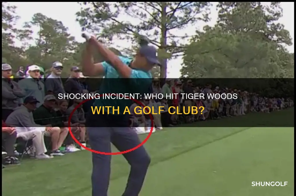who hit tiger with a golf club