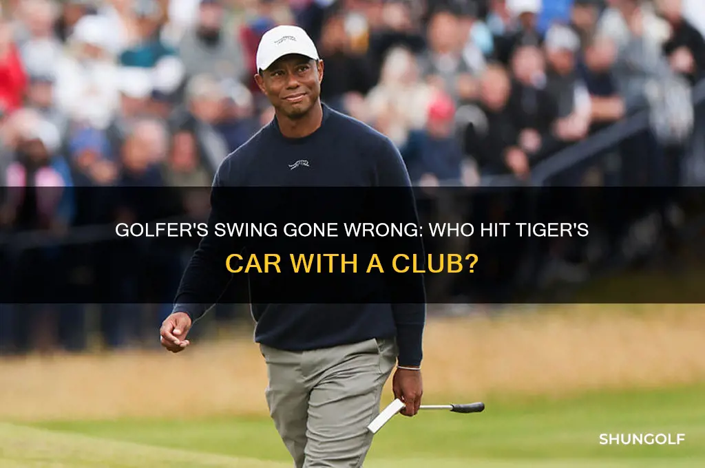 who hit tigers car with the golf club