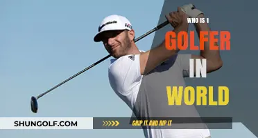 Meet the World's Top Golfer: Ranking the Best in Golf