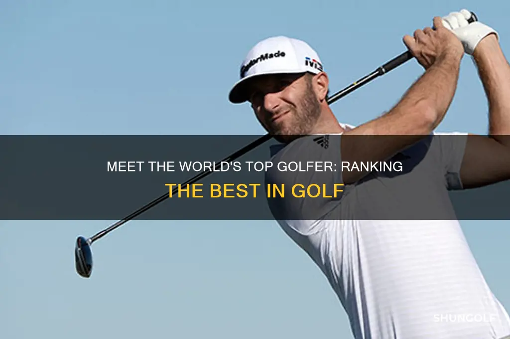 who is 1 golfer in world