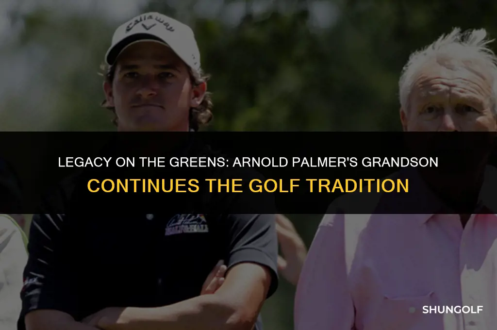 who is arnold palmer
