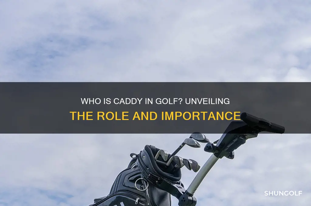 who is caddy in golf