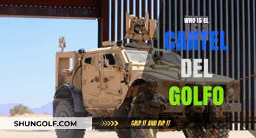 Unveiling the Gulf Cartel: History, Operations, and Impact Explained