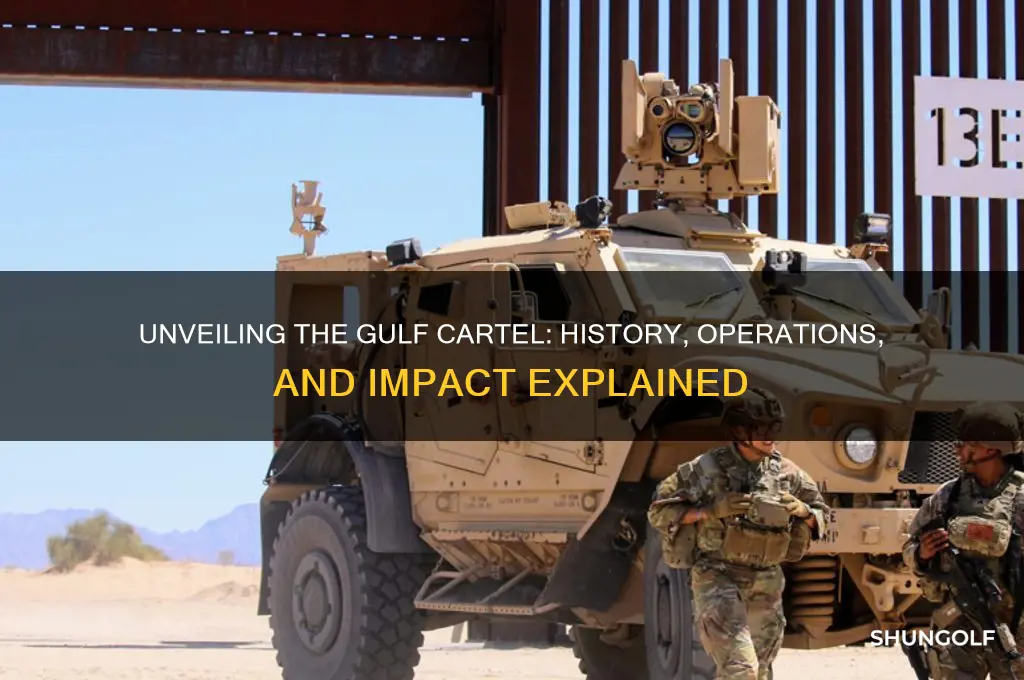 who is el cartel del golfo