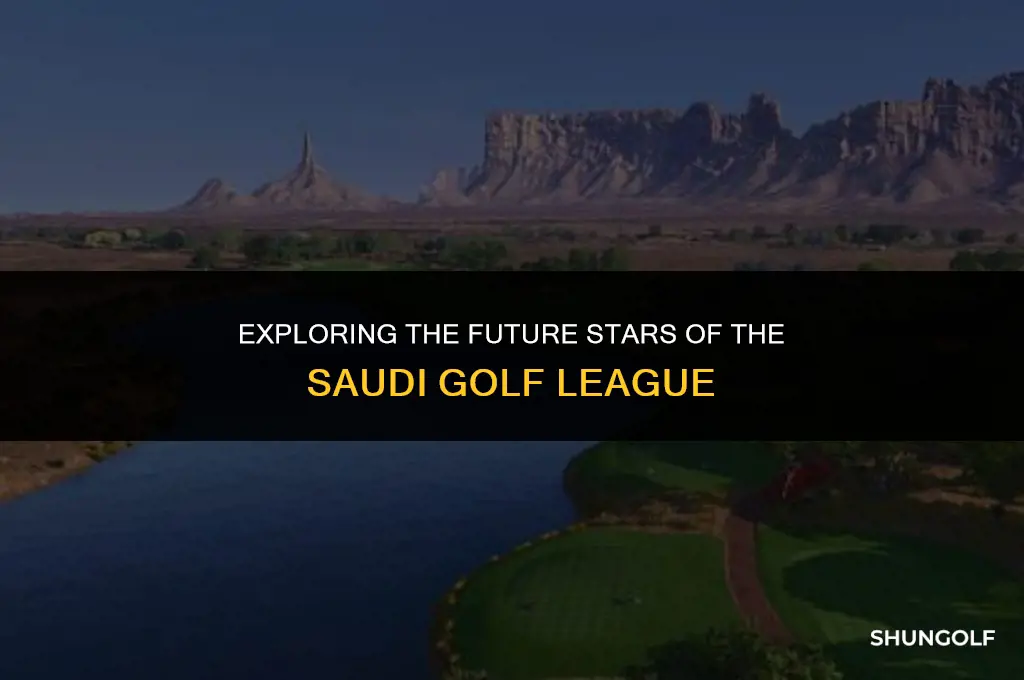 who is going to play in the saudi golf league