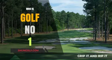 Meet the Current Golf No. 1: A Champion's Journey