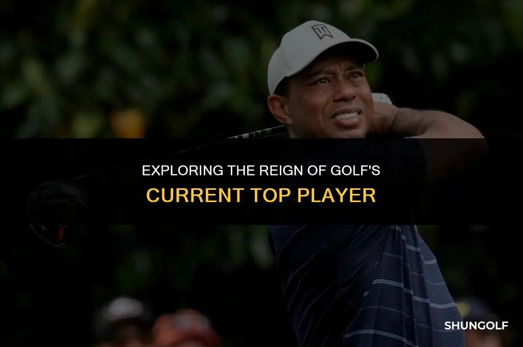 who is golf number one player