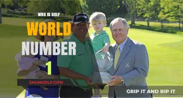Meet the Reigning Golf World Number 1 Champion Today