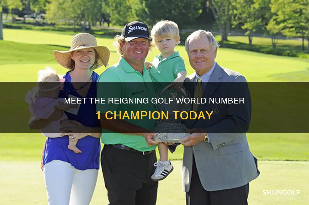 who is golf world number 1