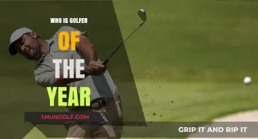 Celebrating Excellence: Who Deserves the Golfer of the Year Title?