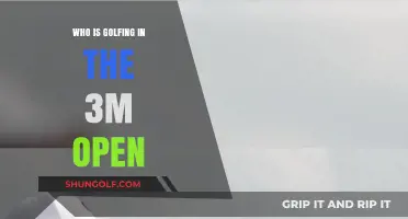 Meet the Golfers Competing in the Exciting 3M Open Tournament