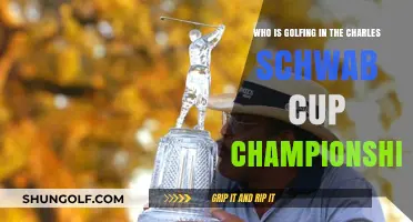 Charles Schwab Cup Championship: Meet the Golfers Competing for the Title