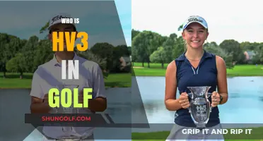 Unveiling the Mystery: Who is HV3 in the Golf World?