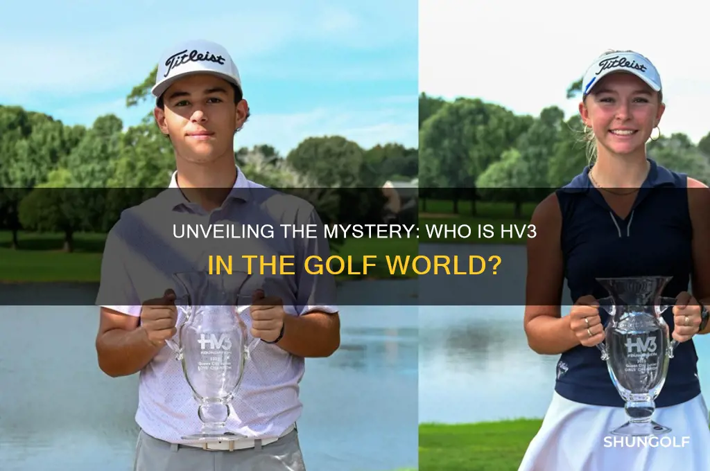 who is hv3 in golf