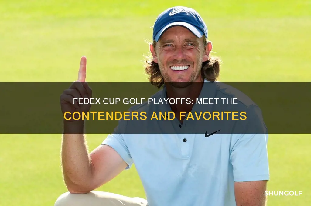 who is in the fed ex golf playoff