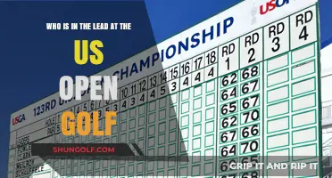 US Open Golf Leaderboard: Who's Dominating the Tournament?