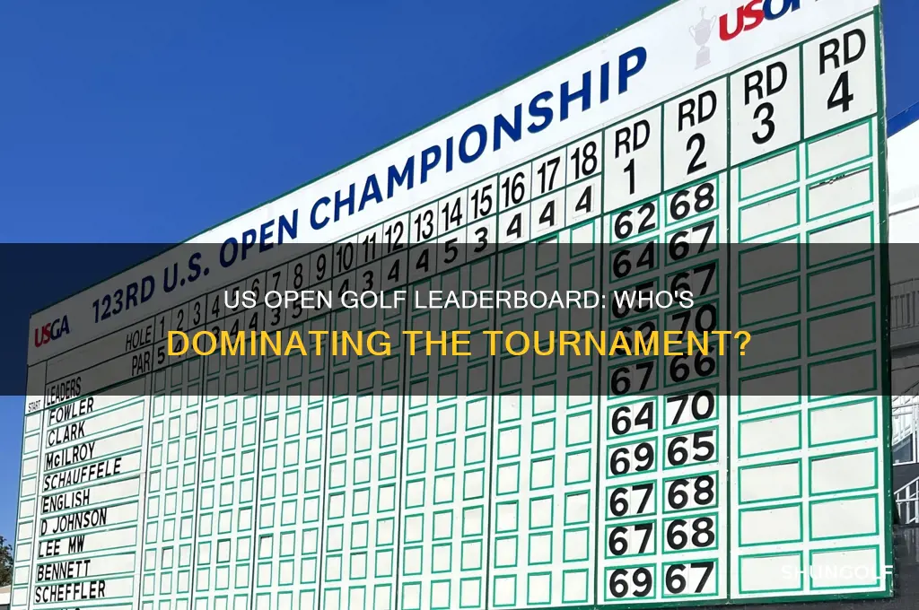 who is in the lead at the us open golf