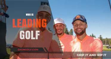 Who's Dominating the Fairways? Current Golf Leaders and Rising Stars