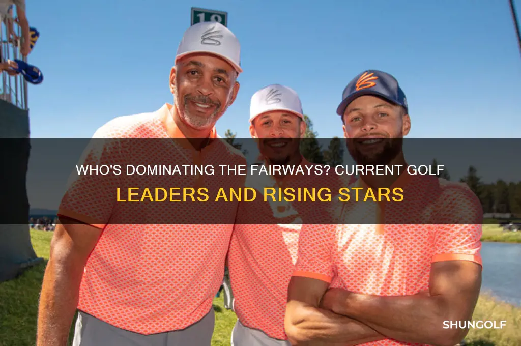 who is leading golf
