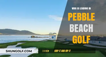 Pebble Beach Golf Leaderboard: Who's Dominating the Iconic Course?