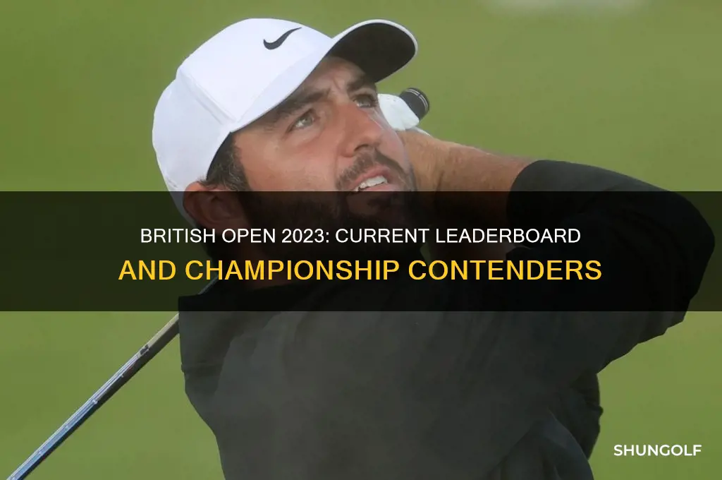 who is leading in the british open