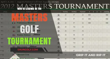 Masters Golf Tournament: Current Leaders and Contenders