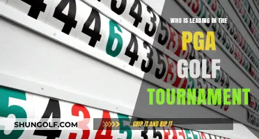 Who's Topping the Leaderboard at the PGA Golf Tournament?