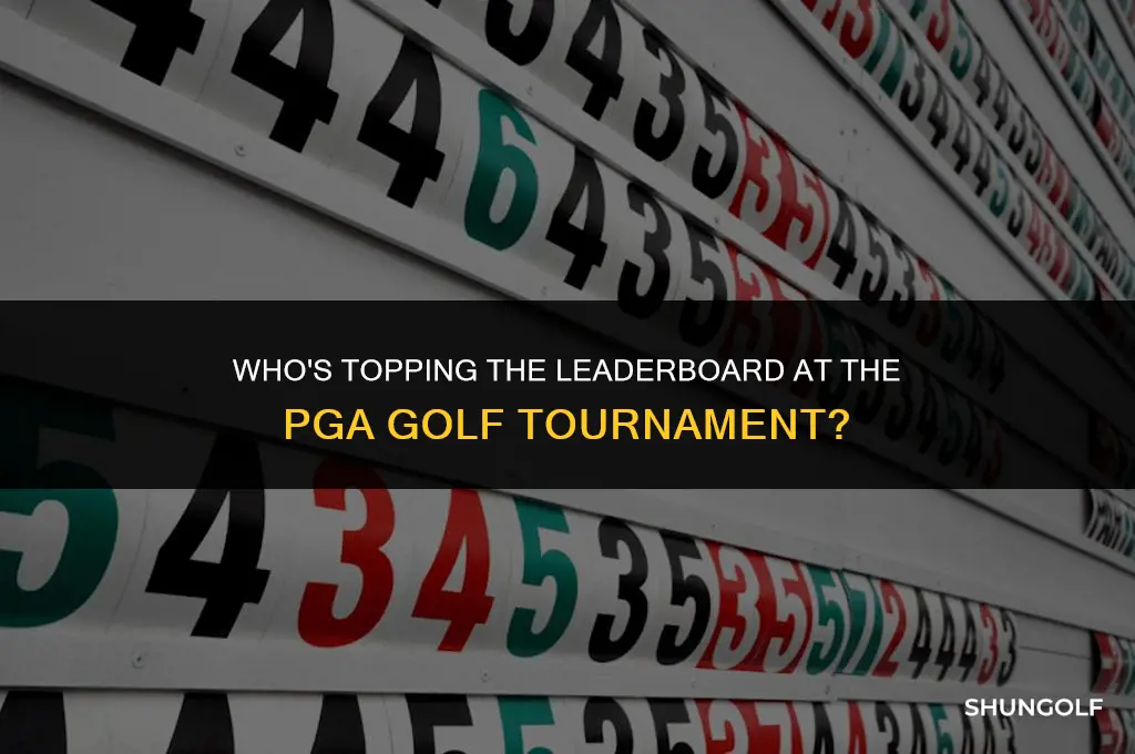 who is leading in the pga golf tournament