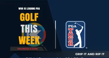 PGA Golf Leaderboard Update: Who's Dominating This Week's Tournament?