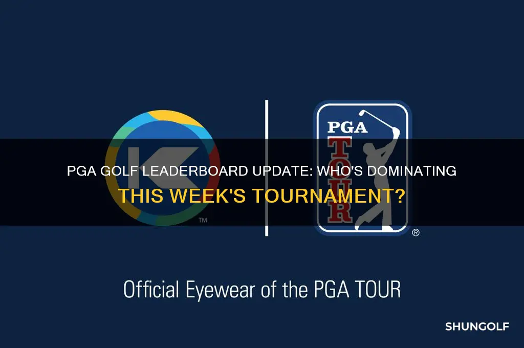 who is leading pga golf this week