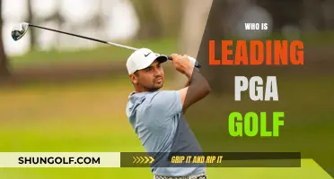 Who's Dominating the PGA Golf Leaderboard This Season?