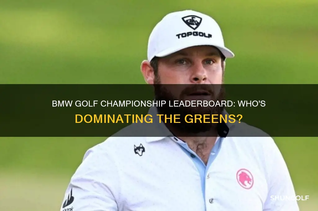 who is leading the bmw golf championship