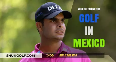 Mexico's Golf Leaders: Top Players Dominating the Greens Today