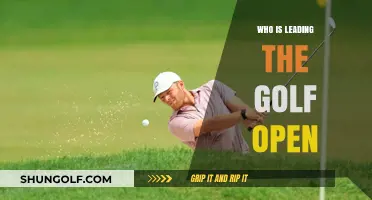 Who's Dominating the Leaderboard at the Golf Open Championship?