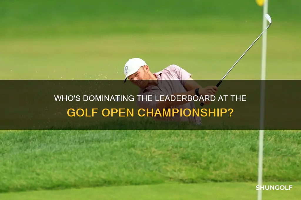 who is leading the golf open
