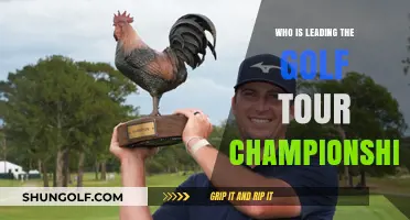 Golf Tour Championship Leaders: Who's Dominating the 2023 Season?