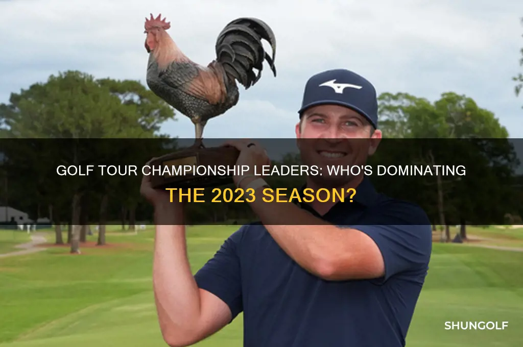 who is leading the golf tour championship