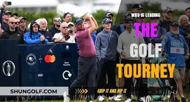 Who's Dominating the Fairways? Current Golf Tournament Leader Revealed
