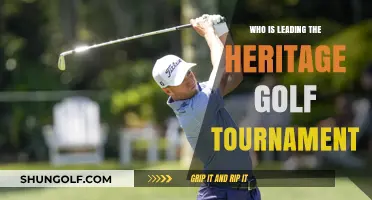 Who's Topping the Leaderboard at the Heritage Golf Tournament?