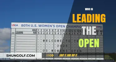 Who's Dominating the Open Championship Leaderboard: Top Contenders Revealed