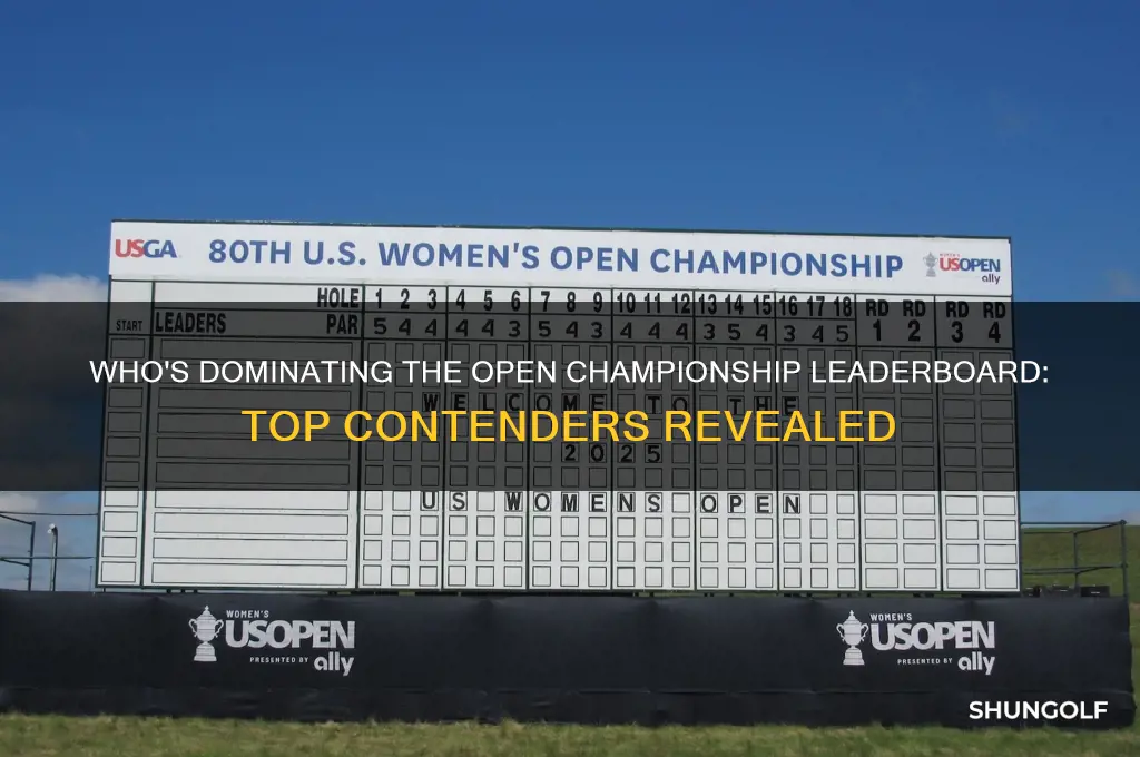 who is leading the open