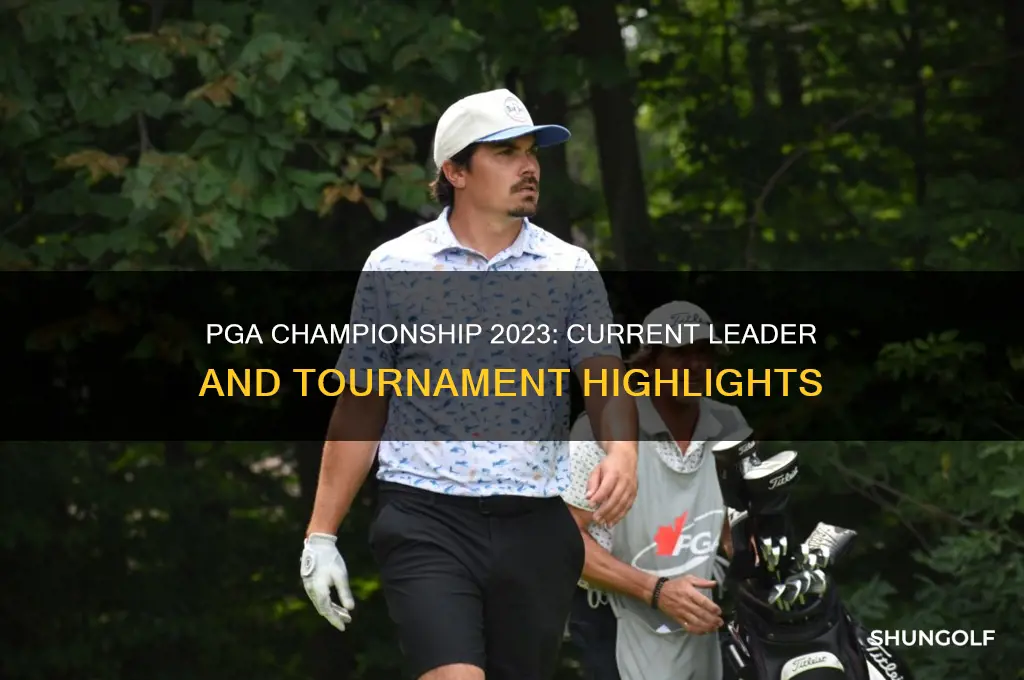 who is leading the pga golf championship