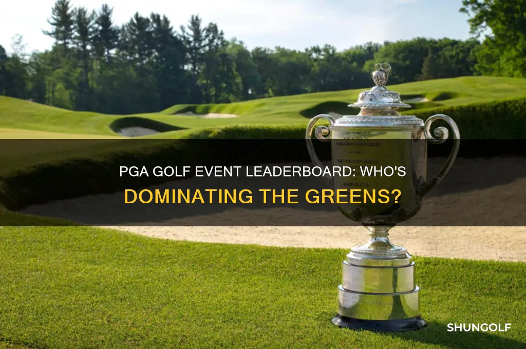 who is leading the pga golf event