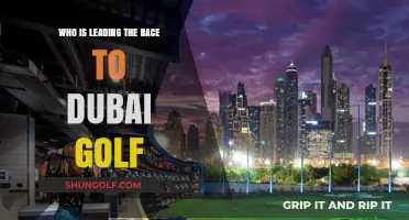 Dubai Race Leaders: Who's Dominating the Golf Season?