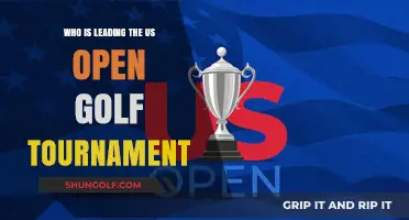 Front-Runners and Underdogs: The Dynamic Leaderboard at the US Open Golf Tournament